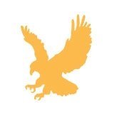 Eagle Cars