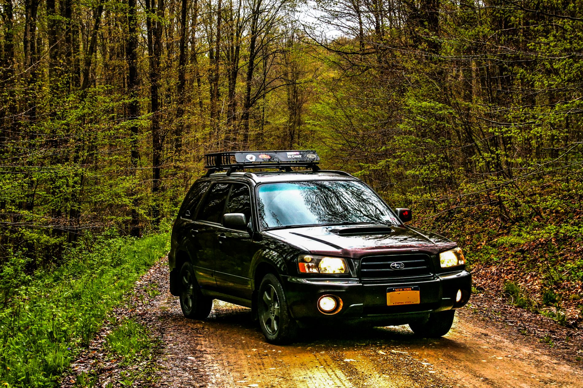 2002-05 წლის, Subaru Forester-ის ექვსი გავრცელებული პრობლემა