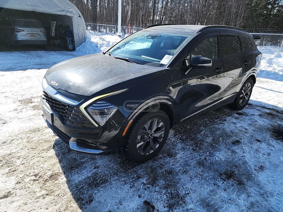 Kia Sportage - фото 1