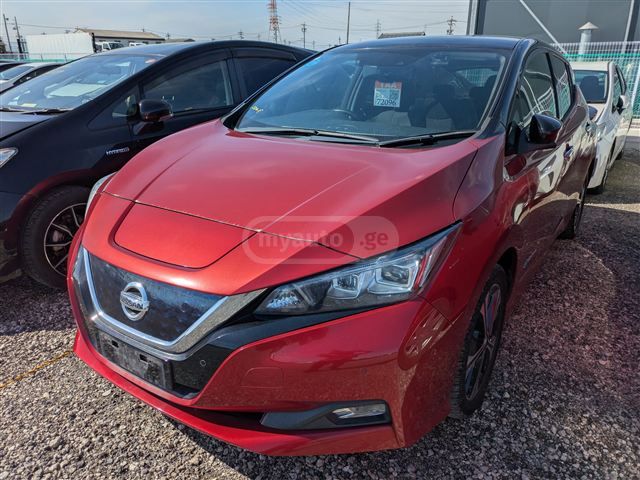 Nissan Leaf - фото 1