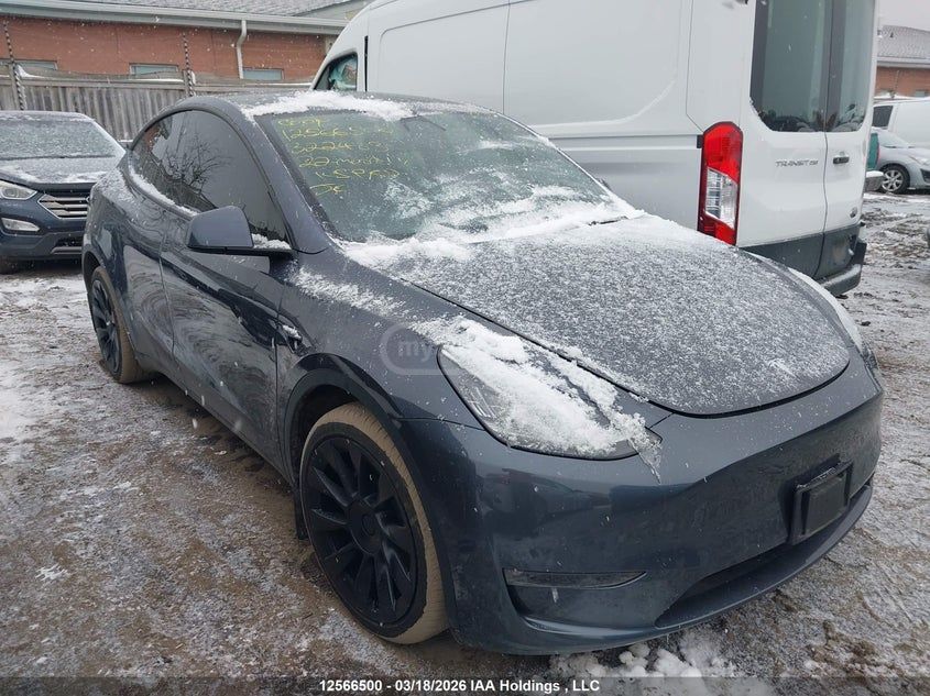 Tesla Model Y - фото 1