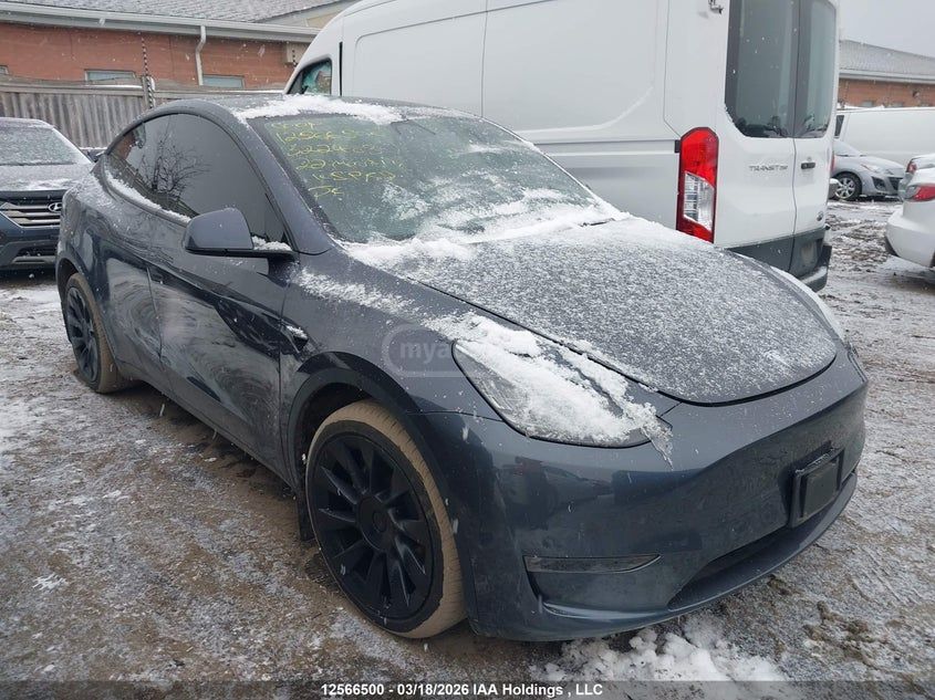 Tesla Model Y - фото 13