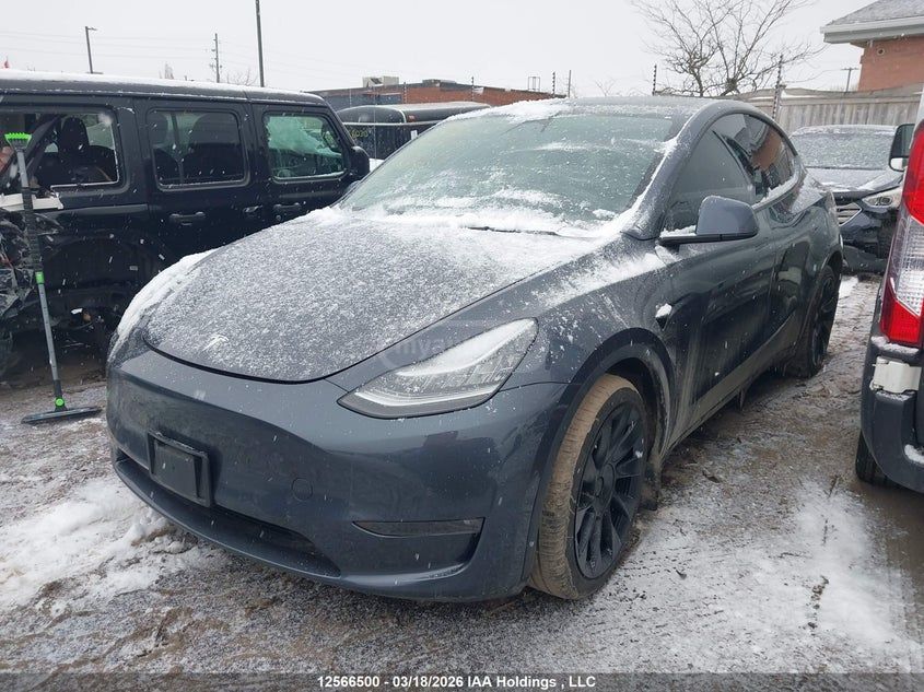 Tesla Model Y - фото 2