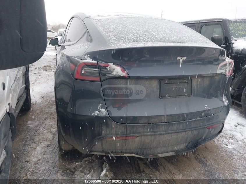 Tesla Model Y - фото 3