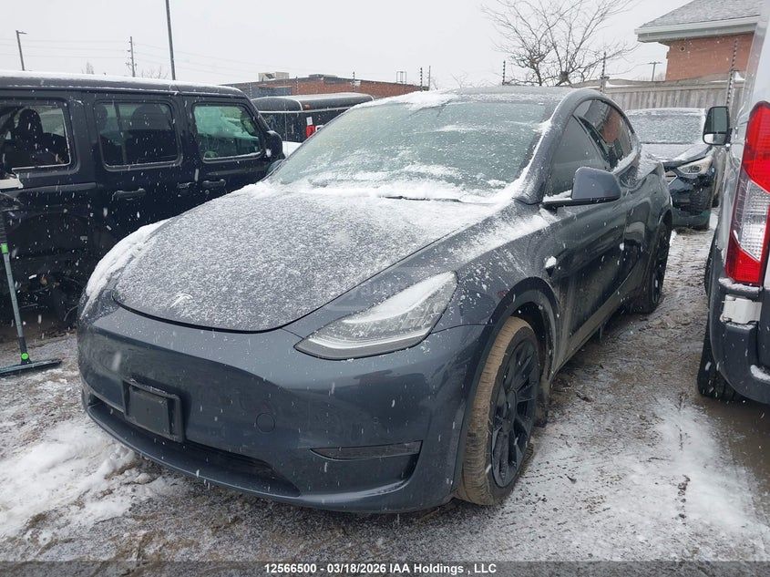 Tesla Model Y - фото 6