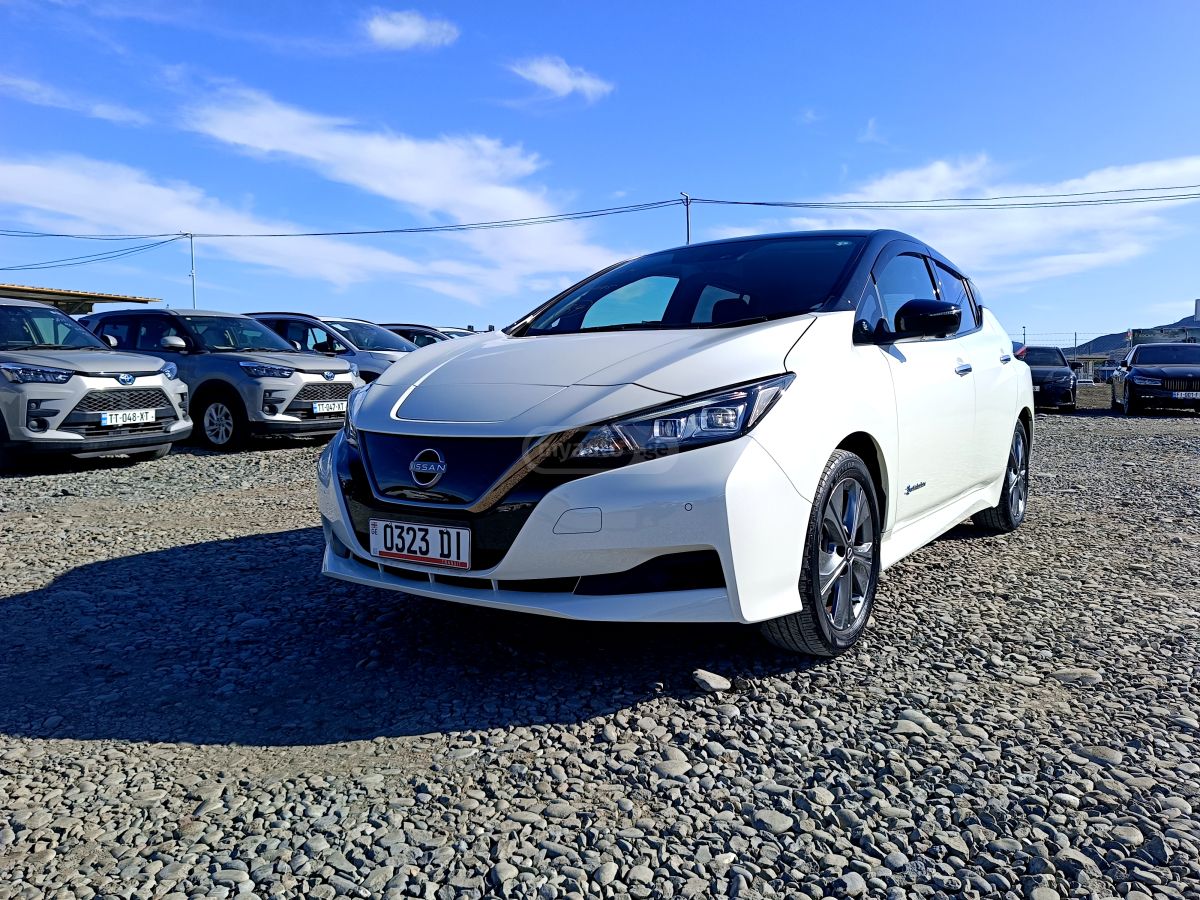Nissan Leaf - фото 1