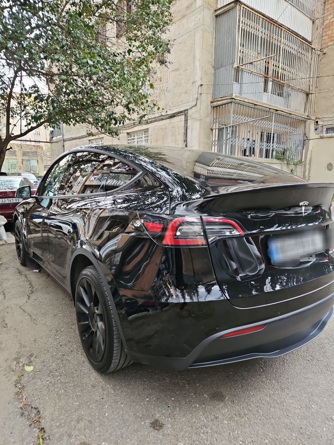 Tesla Model Y - фото 6