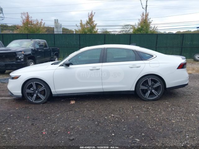 Honda sporti — миниатюра 12