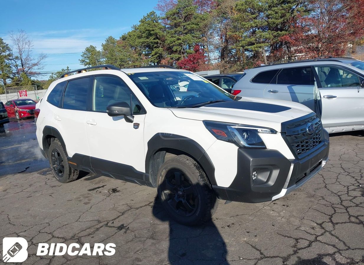 Subaru Wilderness 4dr All-Wheel Drive — миниатюра 1