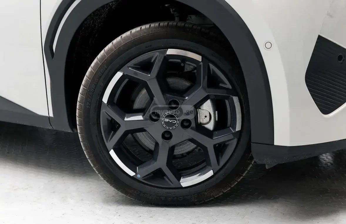 BYD Seagull Flying Edition 405KM 2025 — миниатюра 13