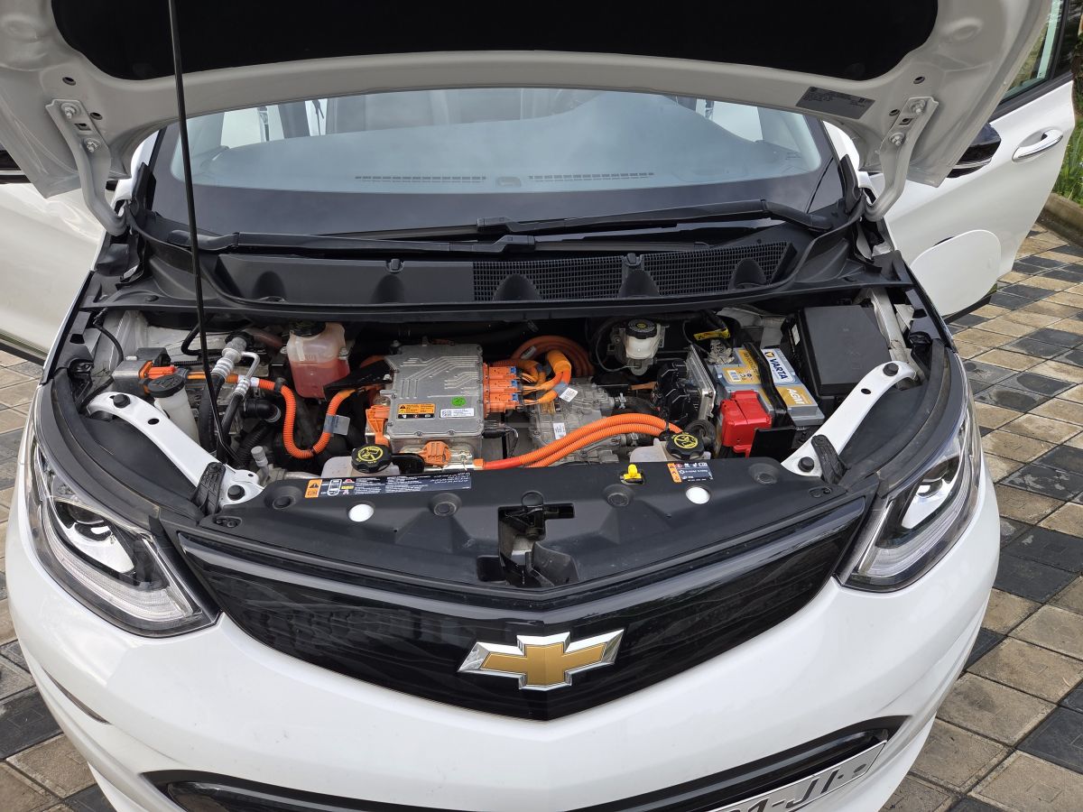 Chevrolet Bolt EV - фото 11