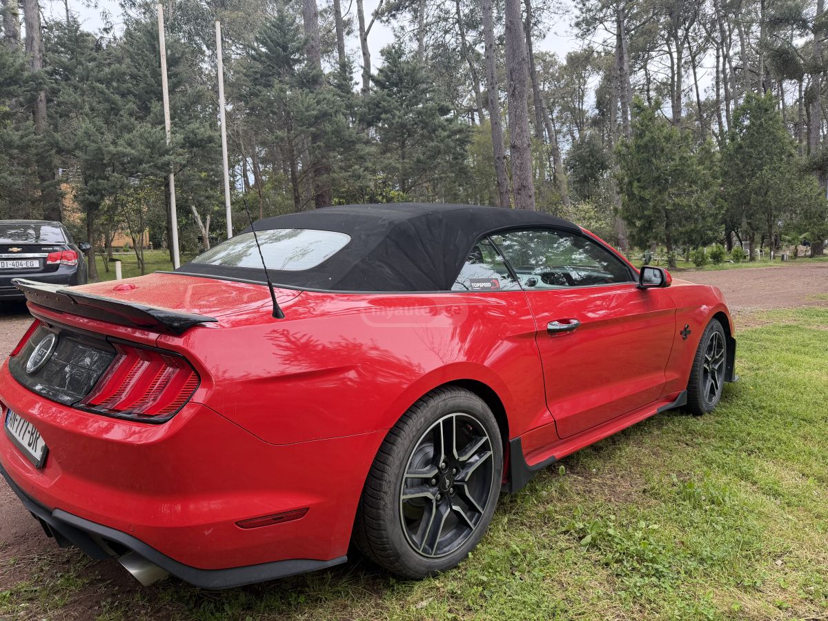 Ford Mustang - фото 4