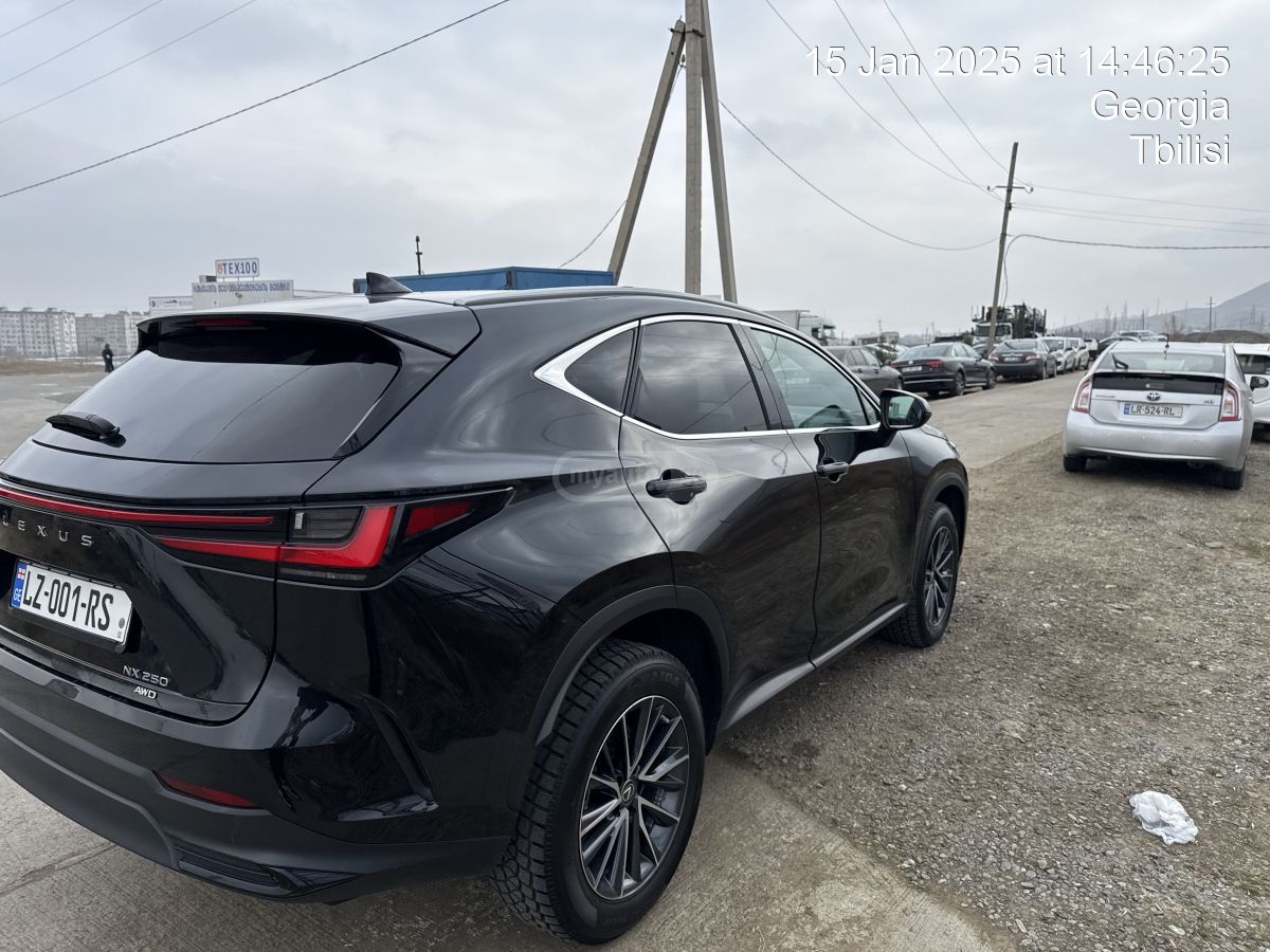Lexus NX 250 - фото 11