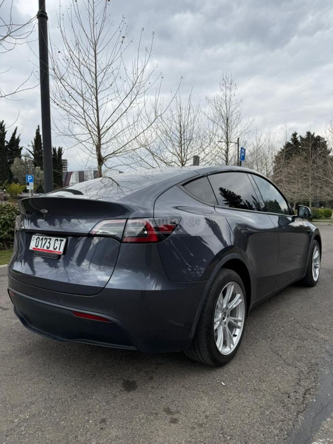 Tesla Dual Motor Long Range — миниатюра 1