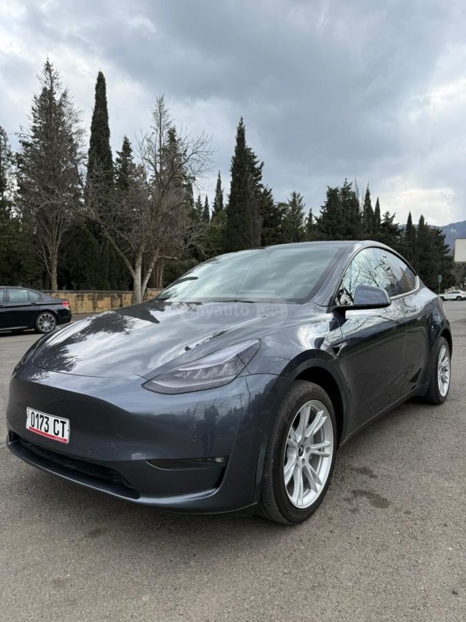 Tesla Dual Motor Long Range — миниатюра 3