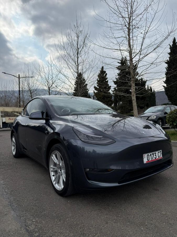 Tesla Dual Motor Long Range — миниатюра 4