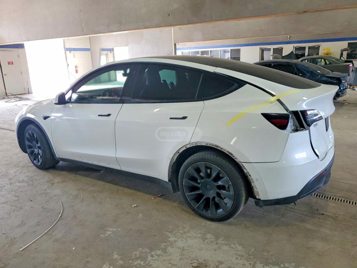 Tesla Model Y - фото 3