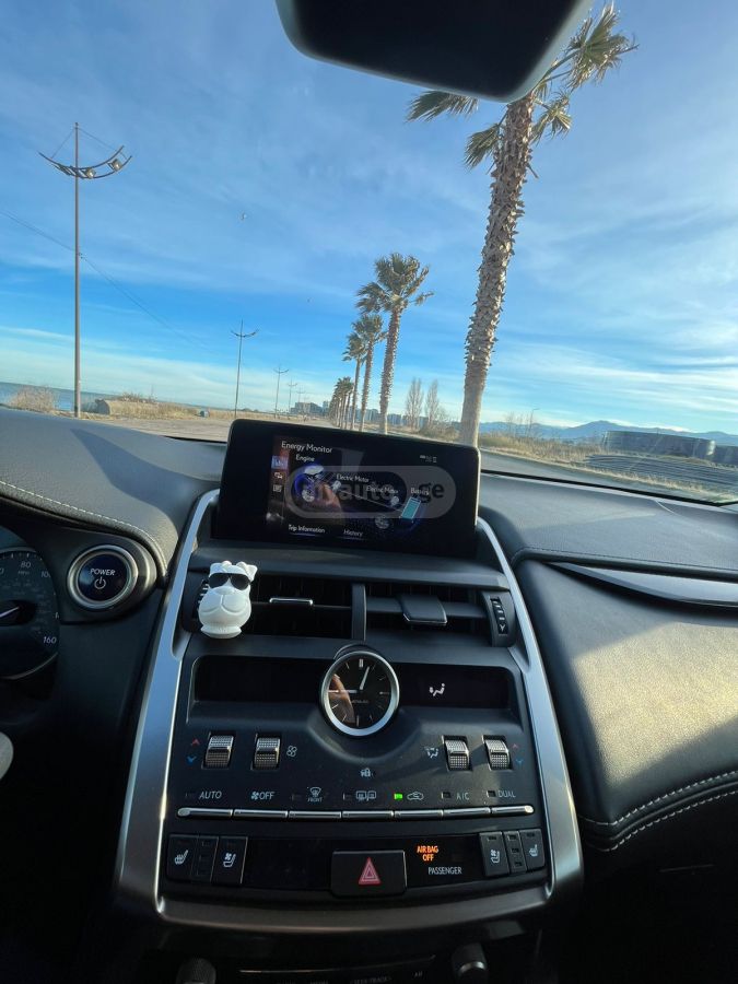 Lexus NX 300 - фото 11