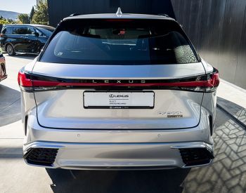 Lexus RX 500 