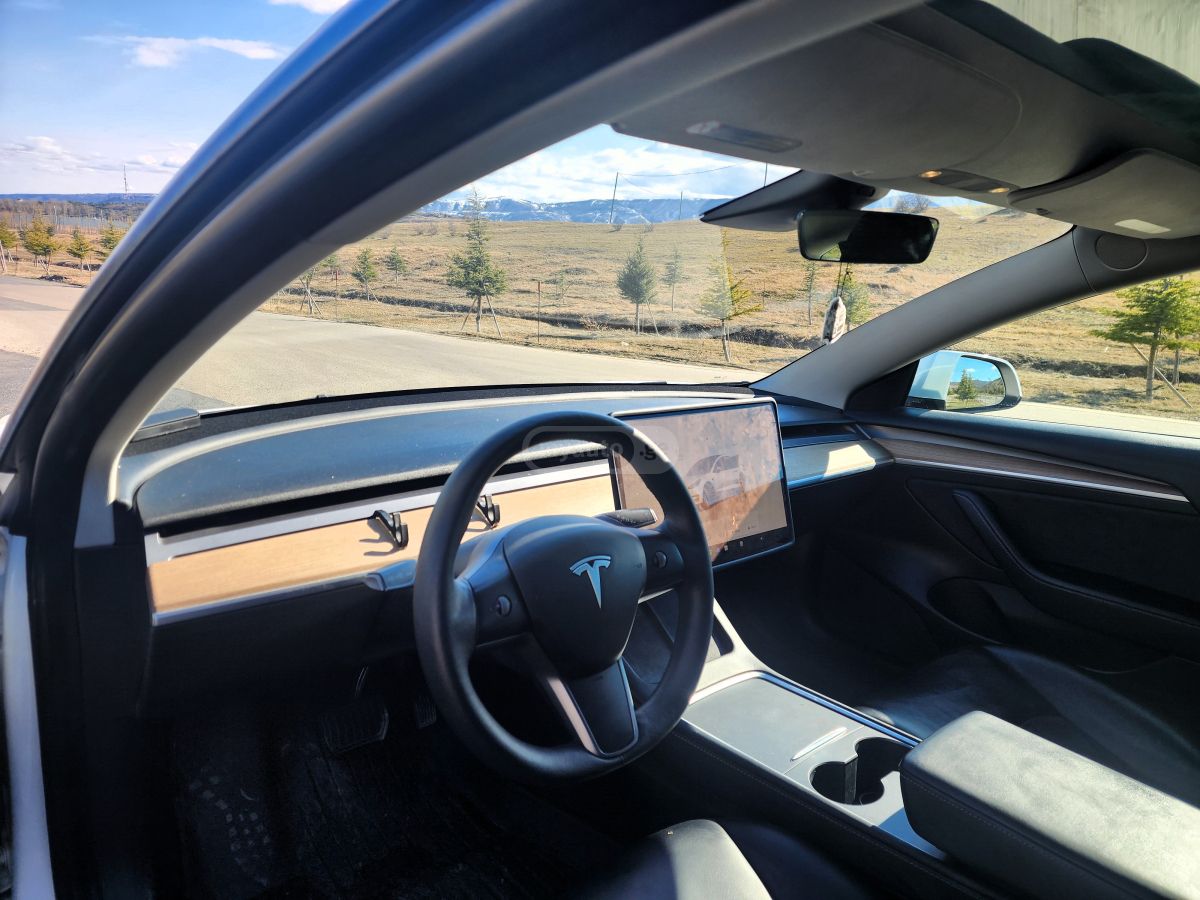 Tesla Dual Motor, Long Range — миниатюра 15