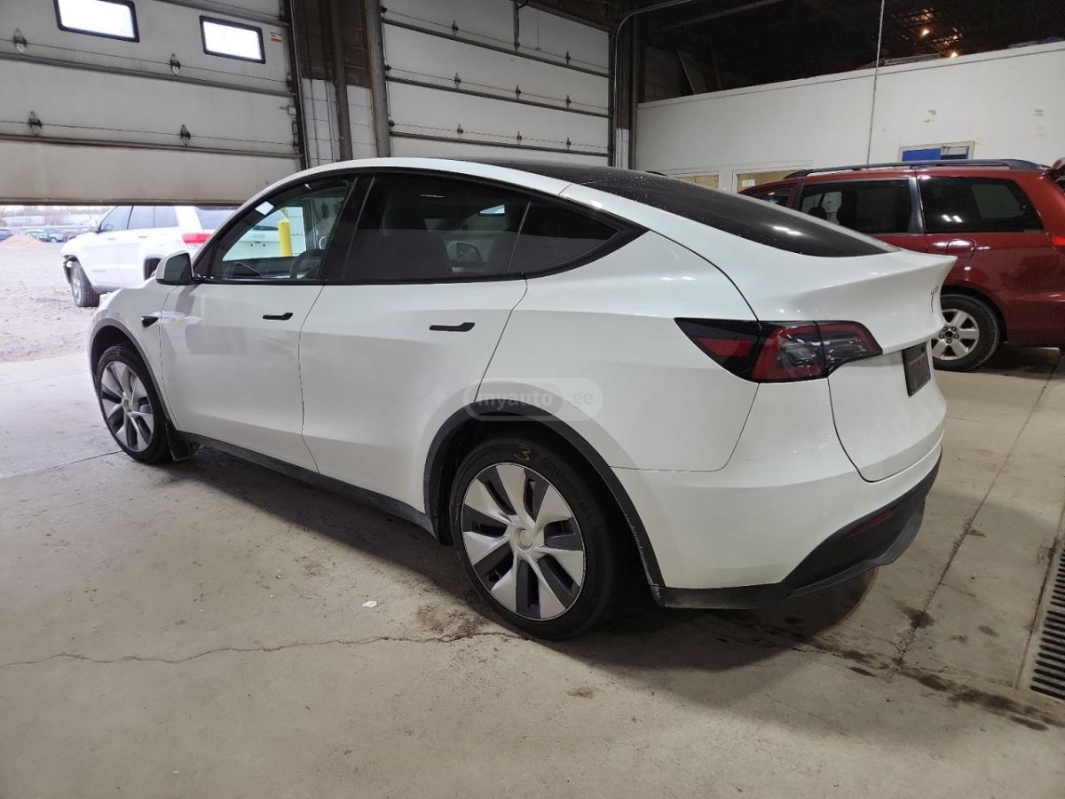 Tesla Model Y - фото 2