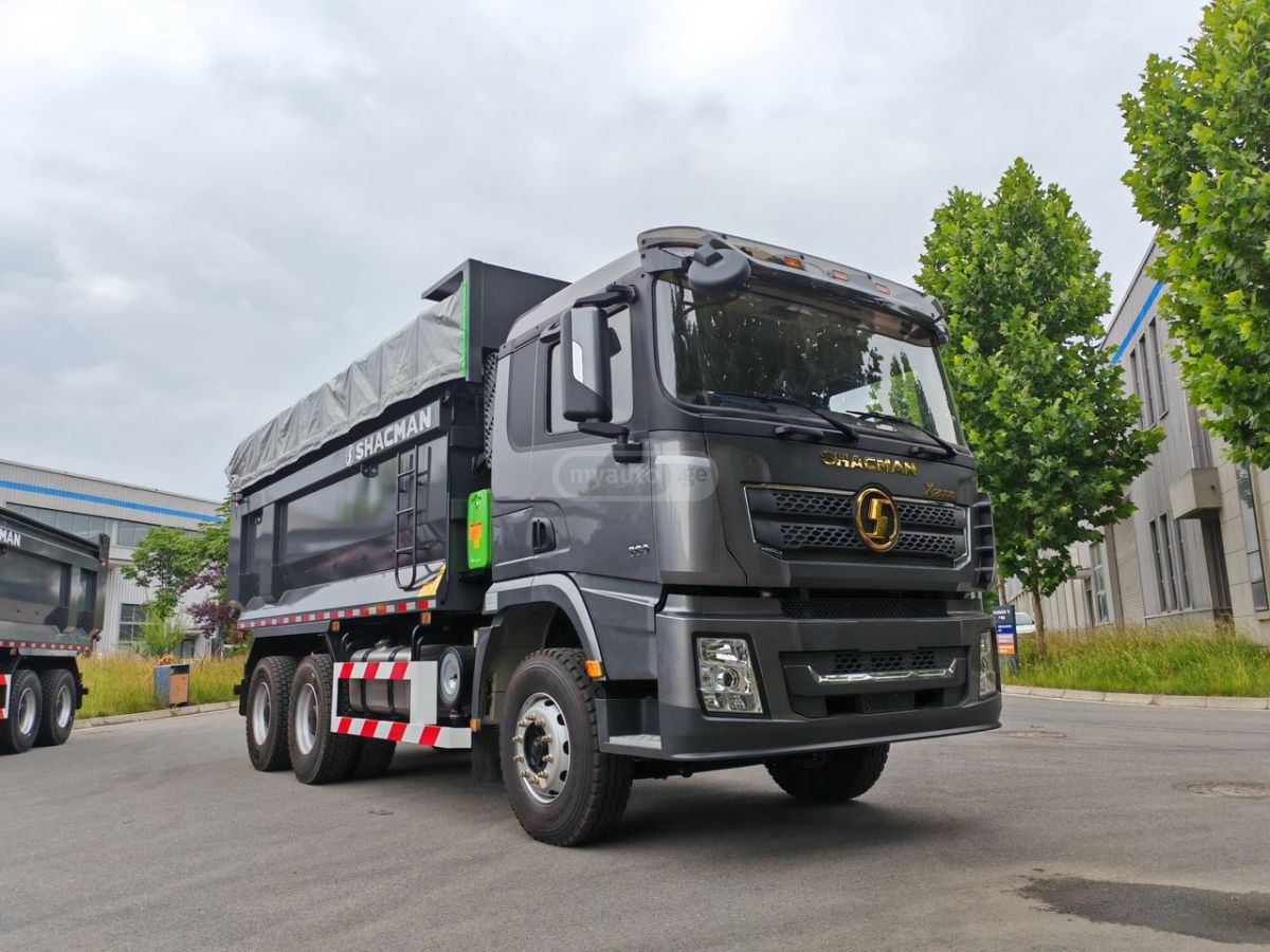 SHACMAN  — миниатюра 1
