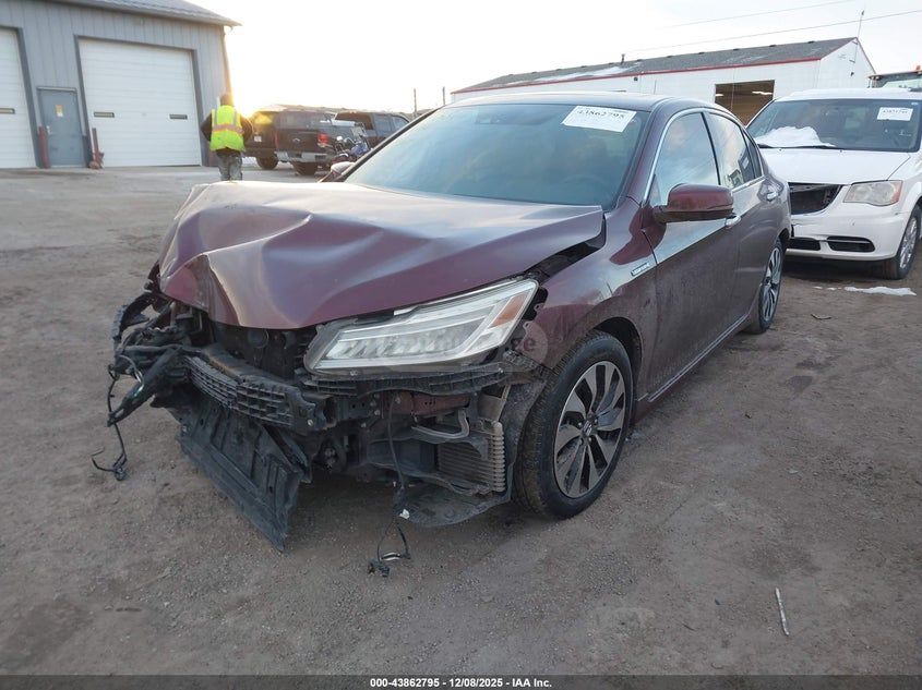 Honda Accord - фото 2