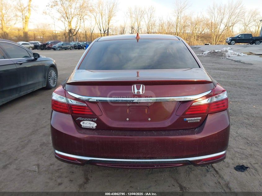 Honda Accord - фото 6