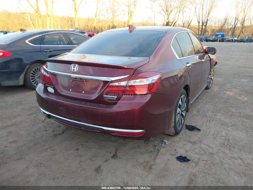 Honda Accord - фото 8