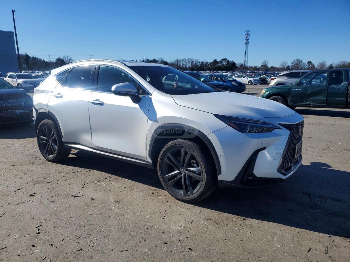 Lexus NX 450 Luxury 2024 — миниатюра 1