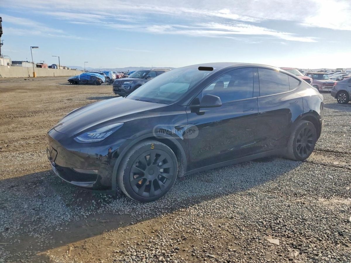 Tesla Model Y - фото 1