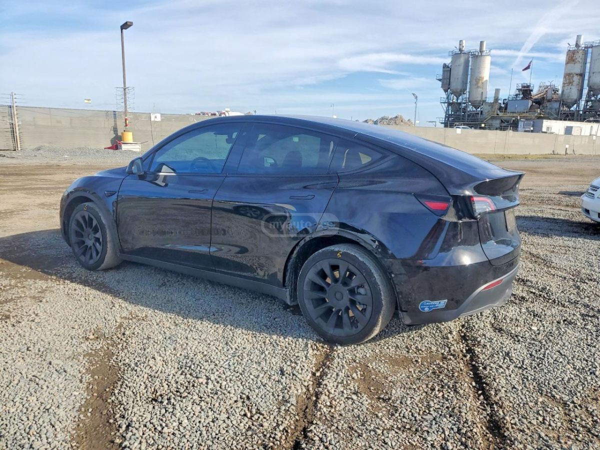 Tesla Model Y - фото 2