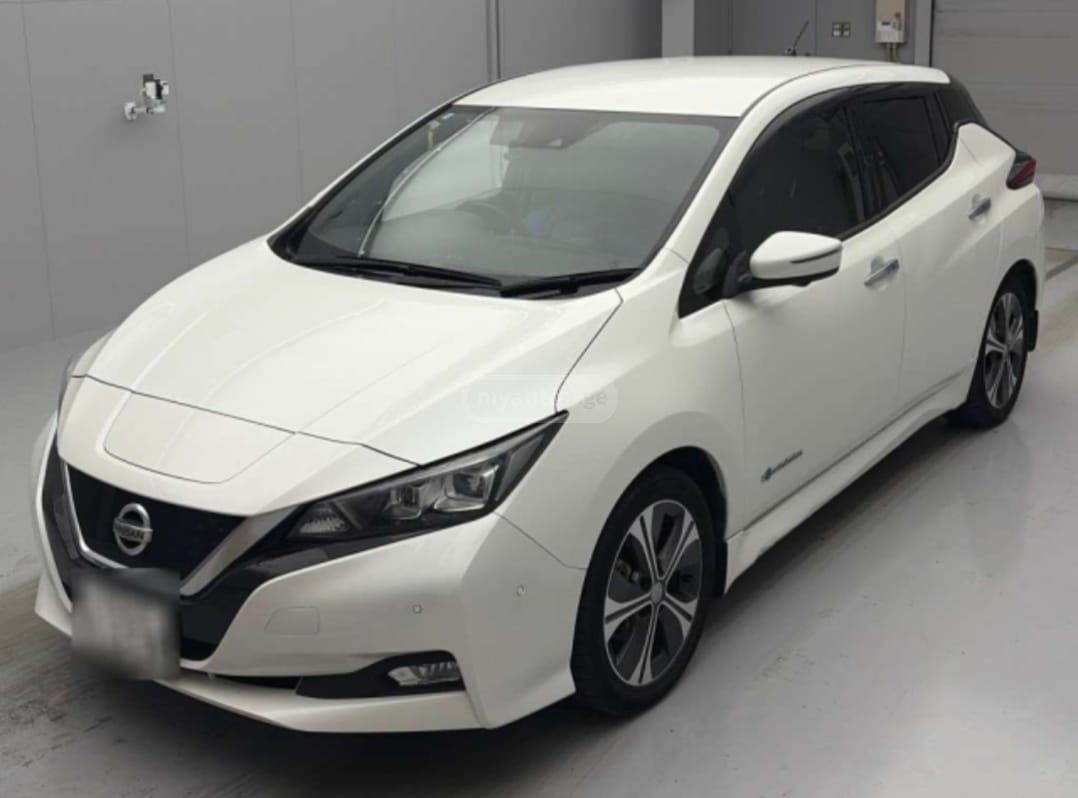 Nissan Leaf - фото 1