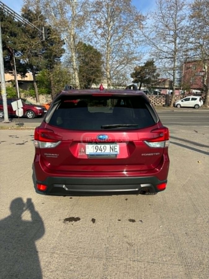 Subaru Forester - фото 5