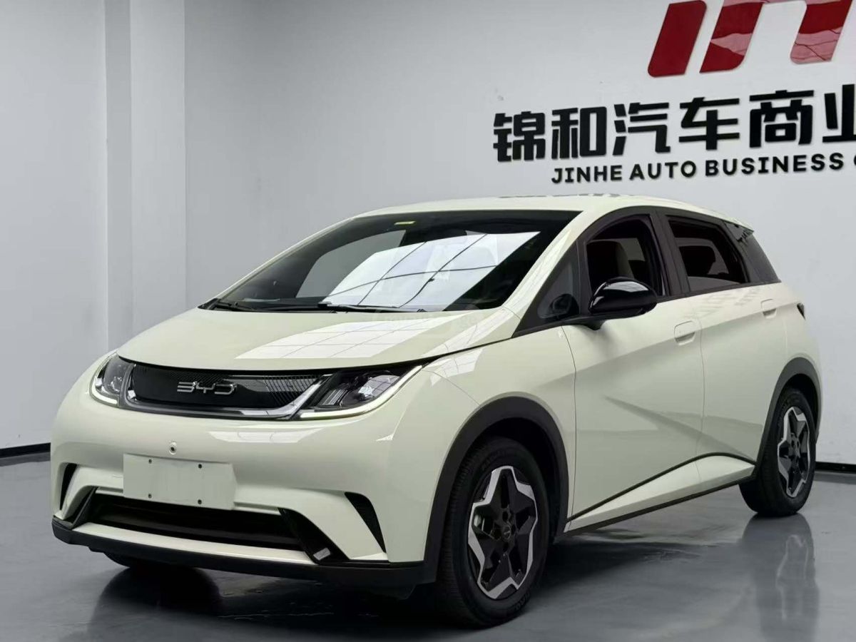 BYD Dolphin - фото 1