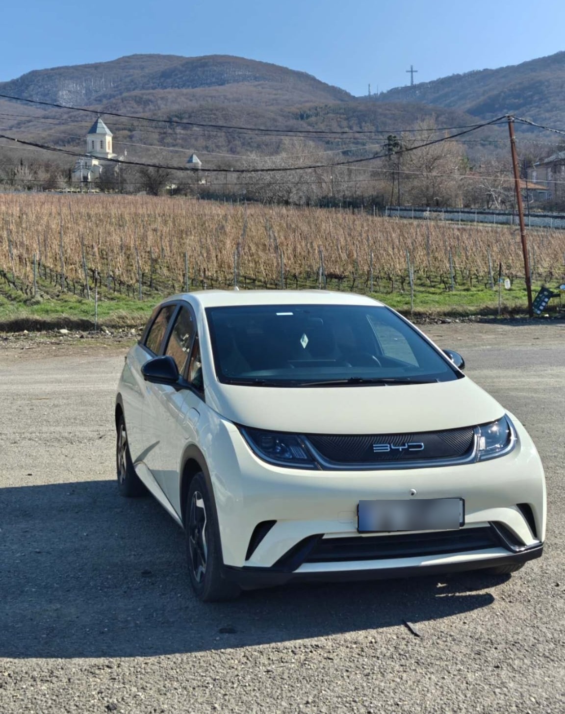 BYD Dolphin - фото 7