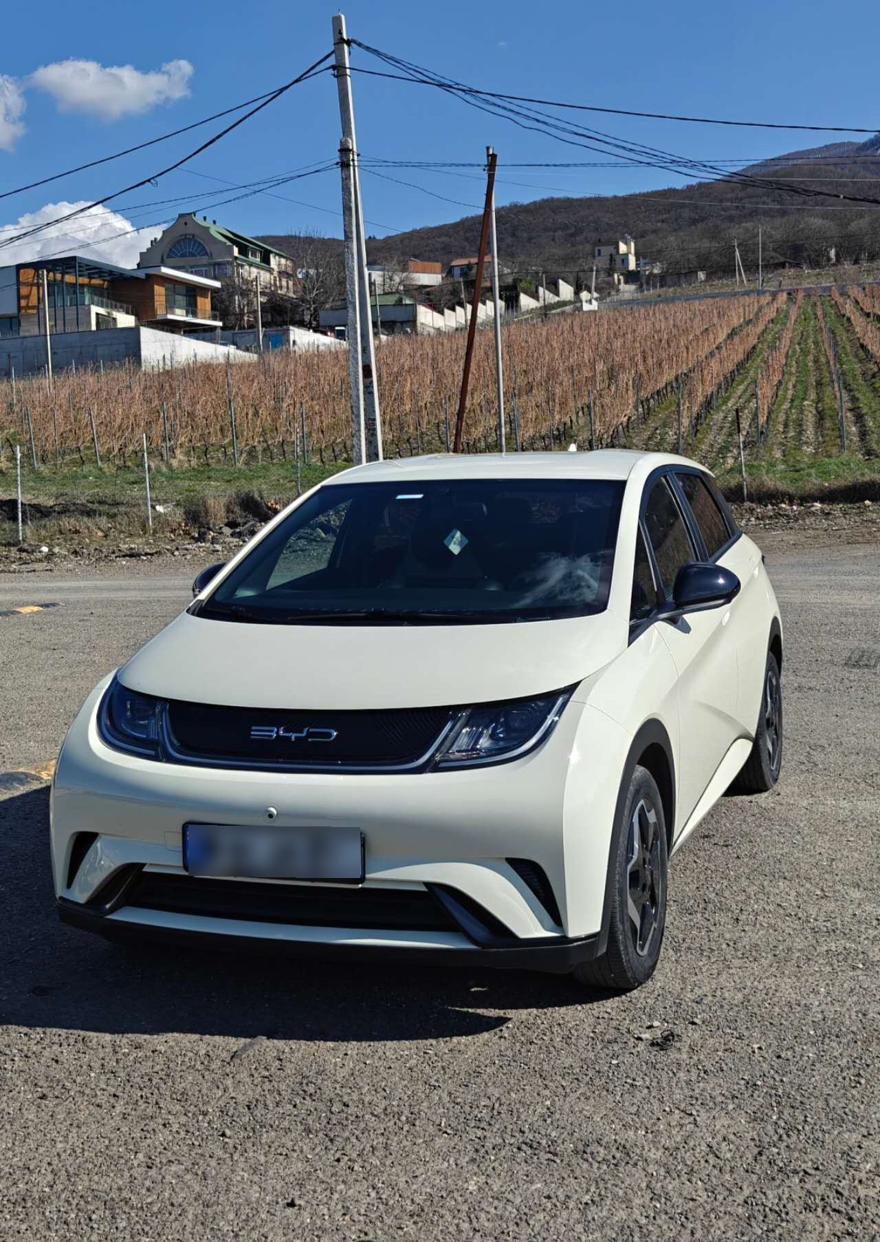 BYD Dolphin - фото 9