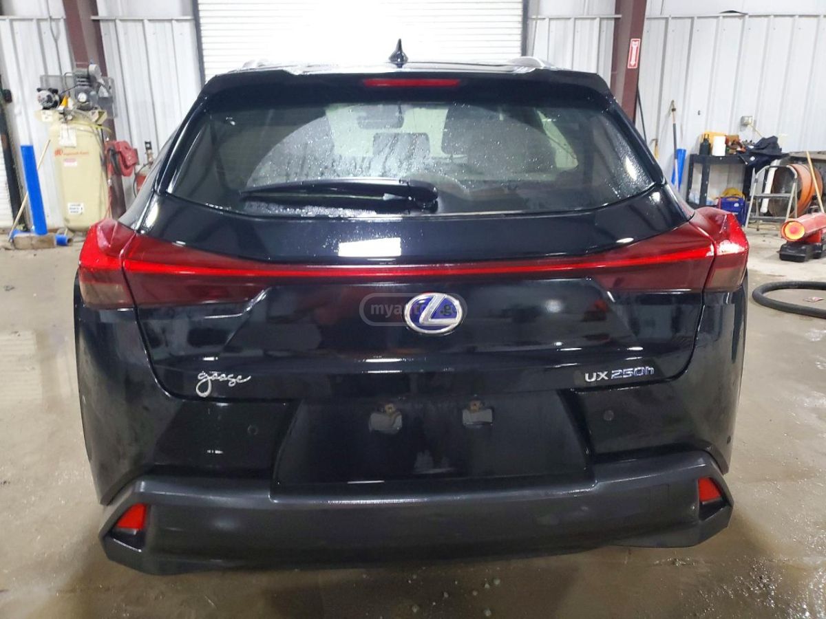 Lexus UX - фото 6