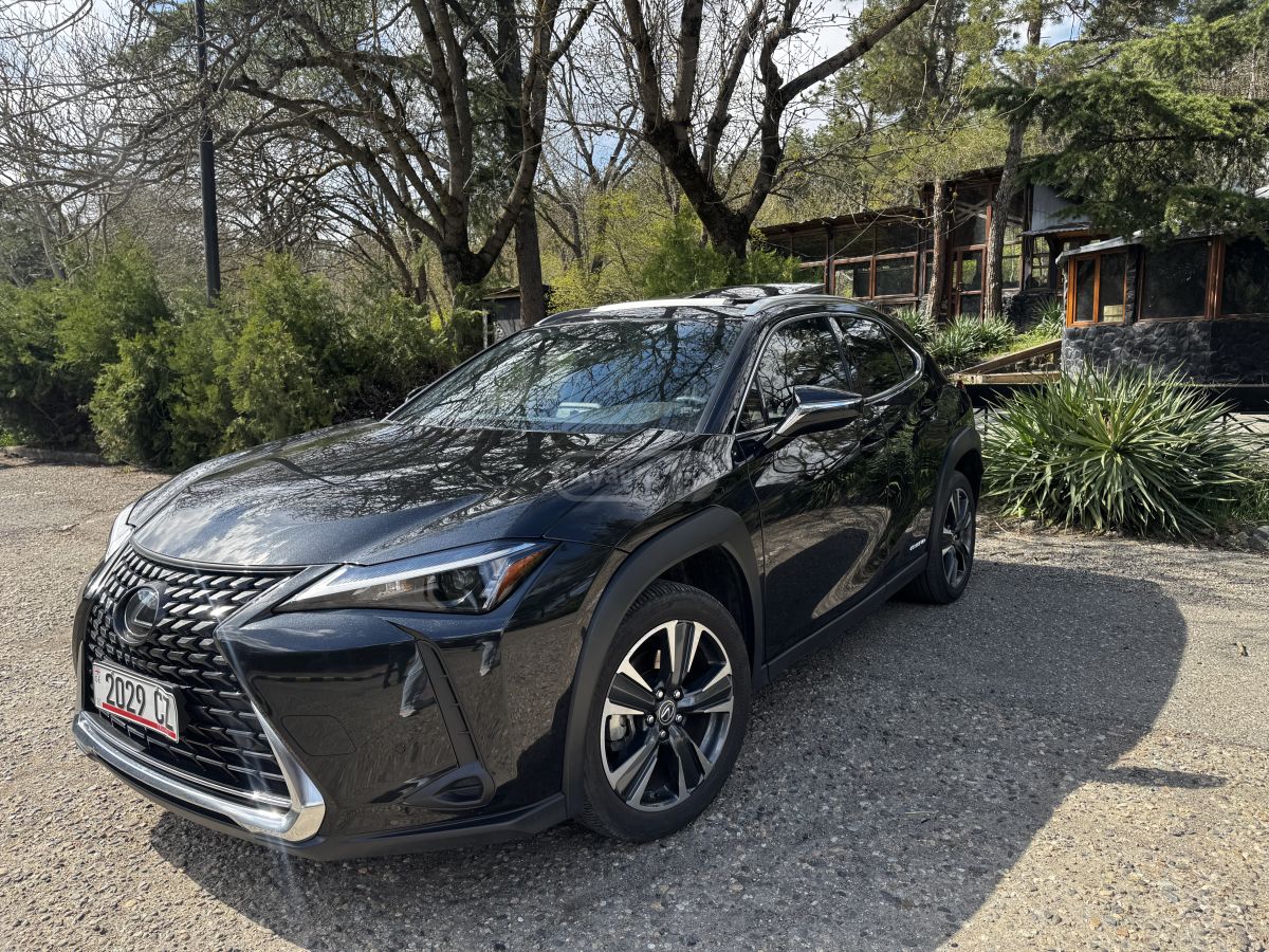Lexus UX 250 h - фото 2