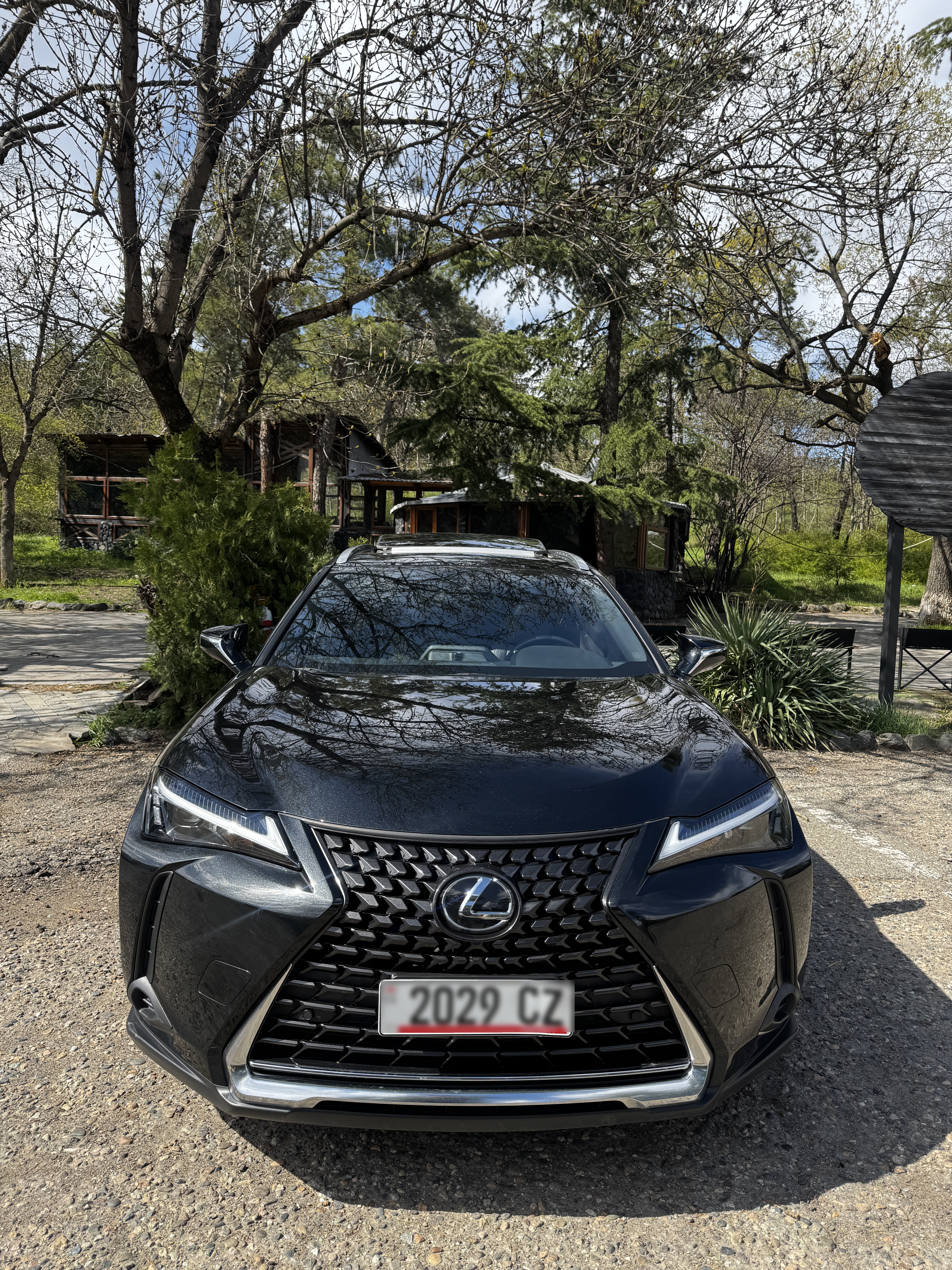 Lexus UX 250 h - фото 3