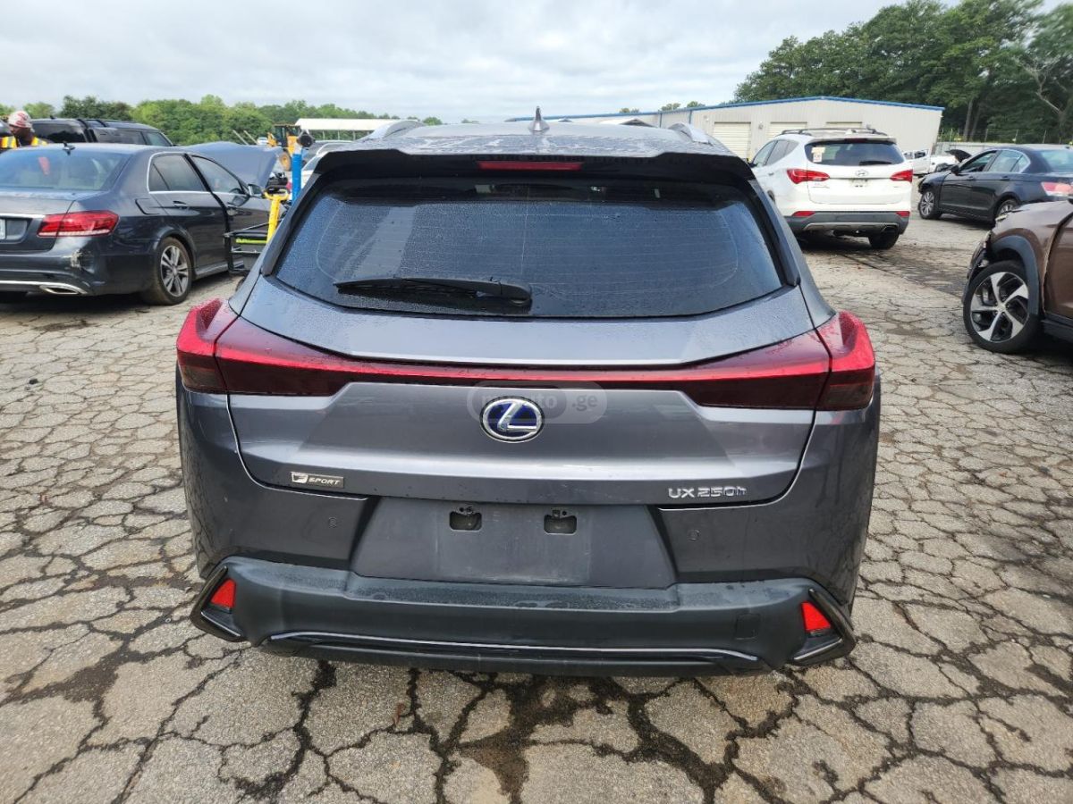 Lexus F-SPORT — миниатюра 6