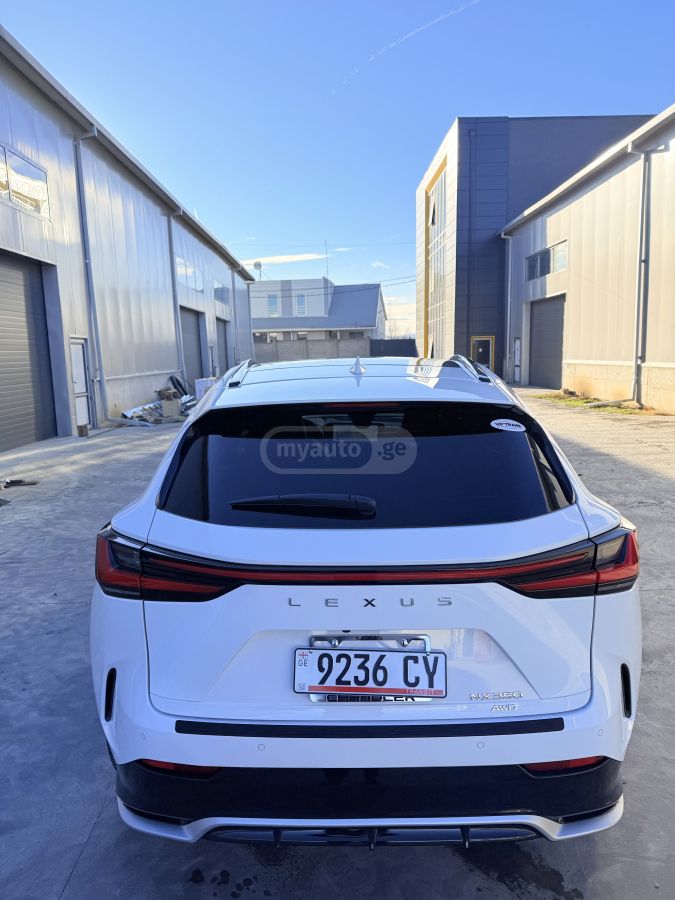 Lexus F Sport Handling Luxury — миниатюра 6