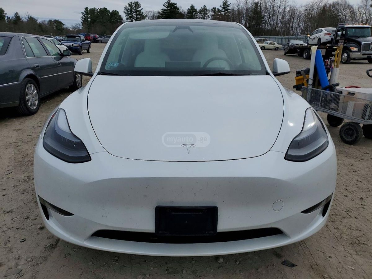Tesla Model Y - фото 1