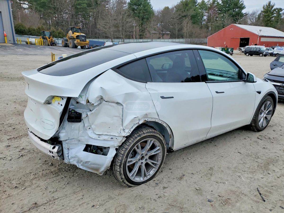 Tesla Model Y - фото 2