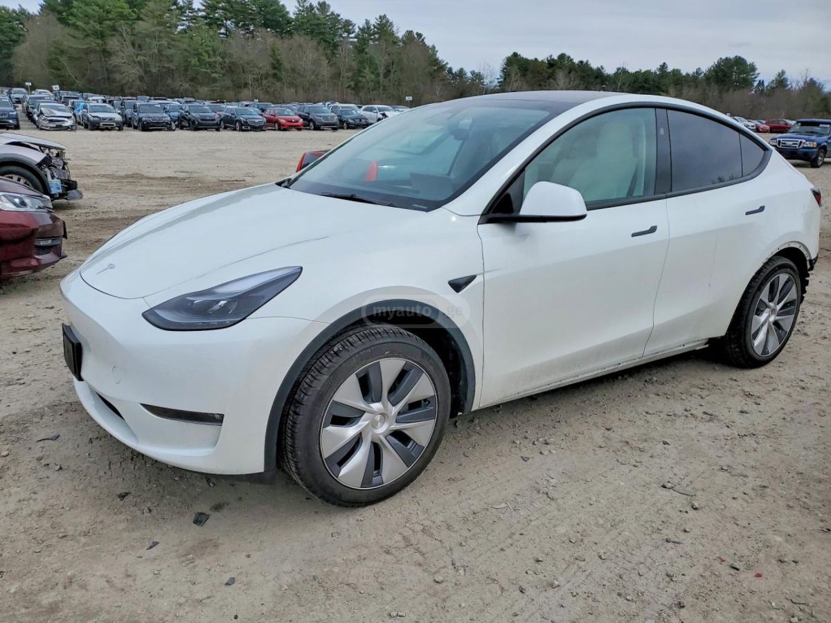 Tesla Model Y - фото 5