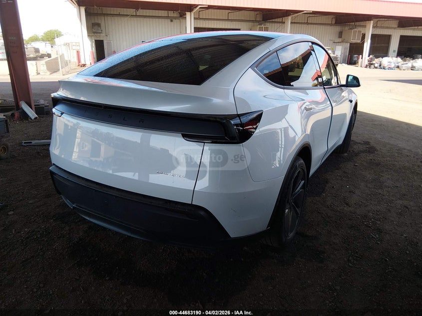 Tesla Model Y - фото 2