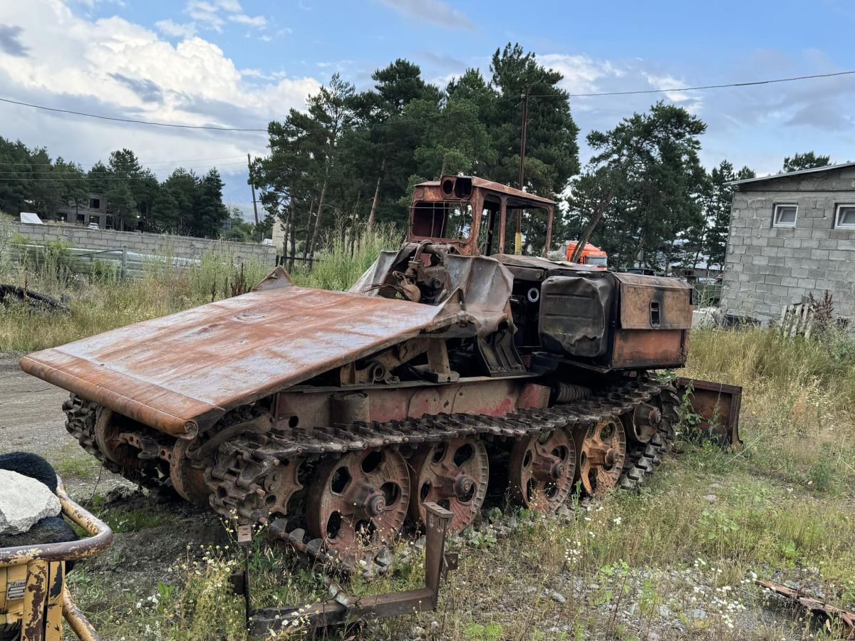 DT tiagach — миниатюра 2