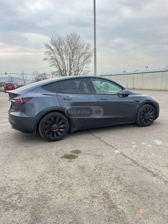 Tesla performance — миниатюра 6