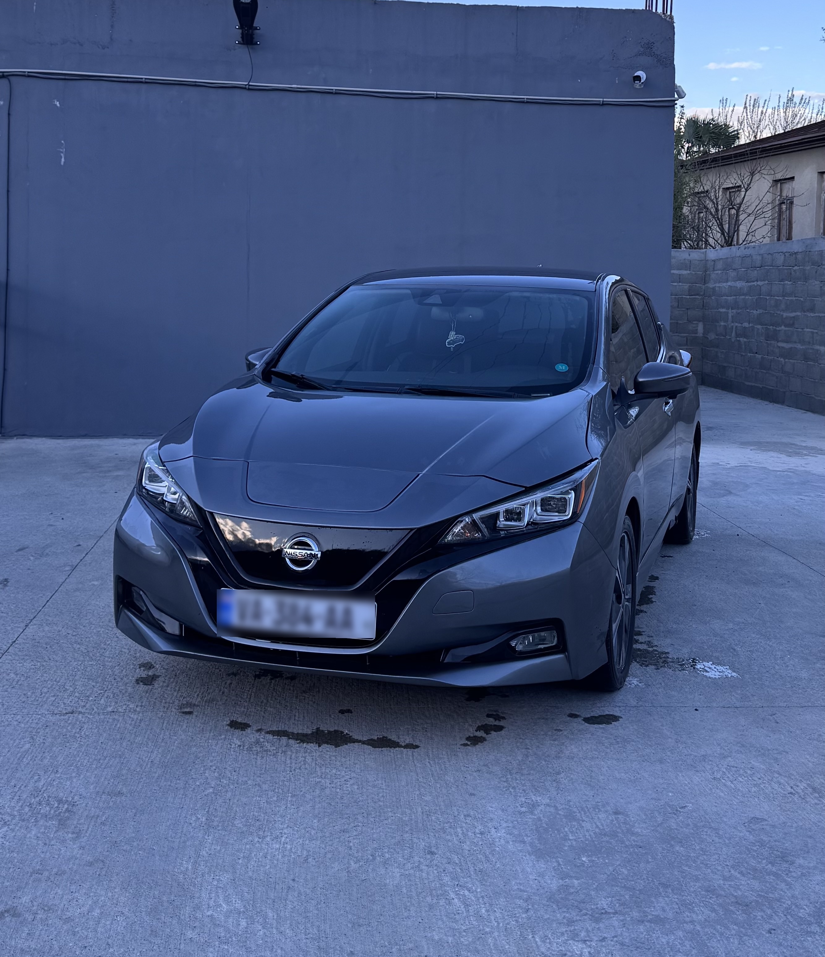 Nissan Leaf - фото 1