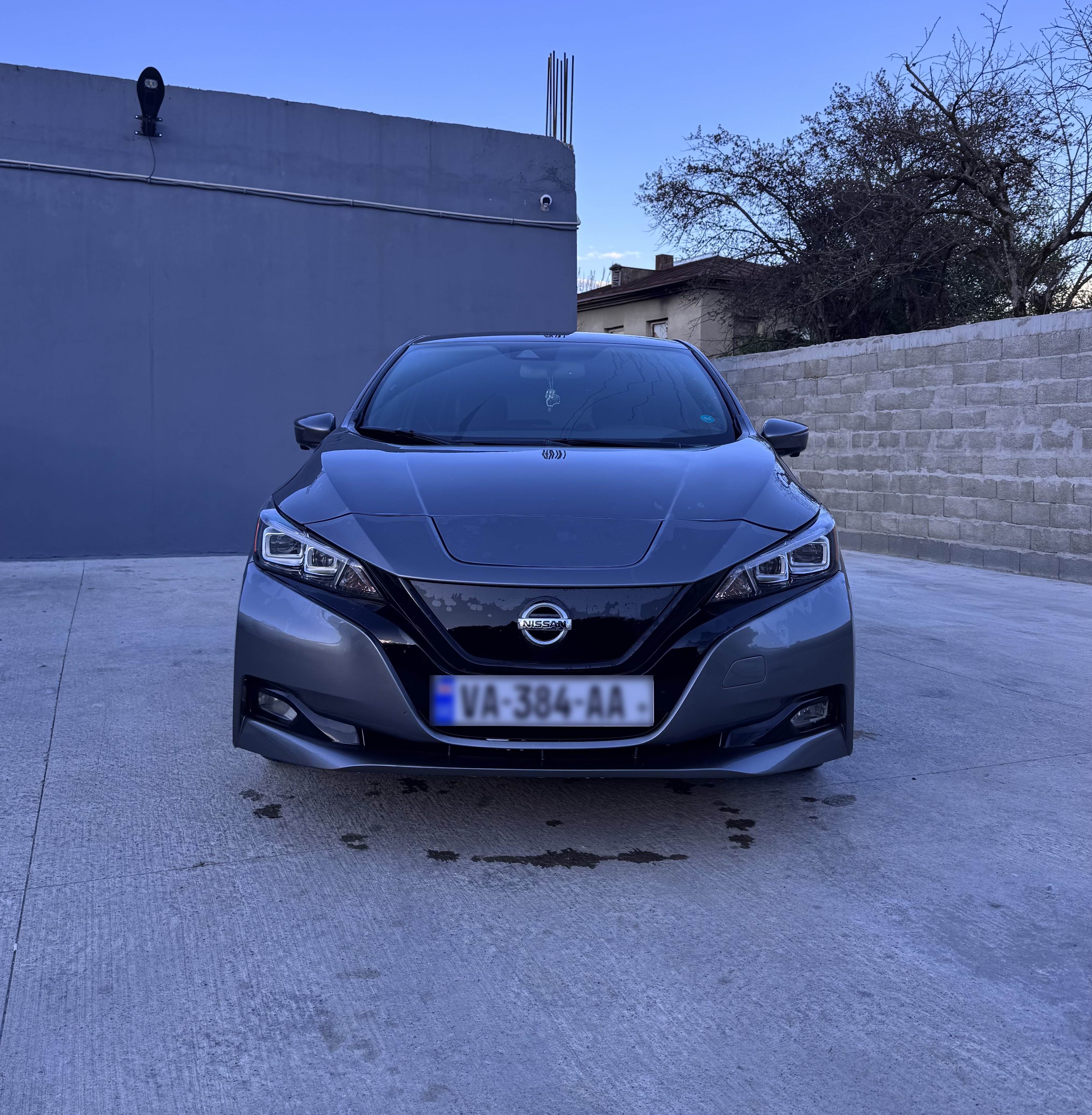 Nissan Leaf - фото 2